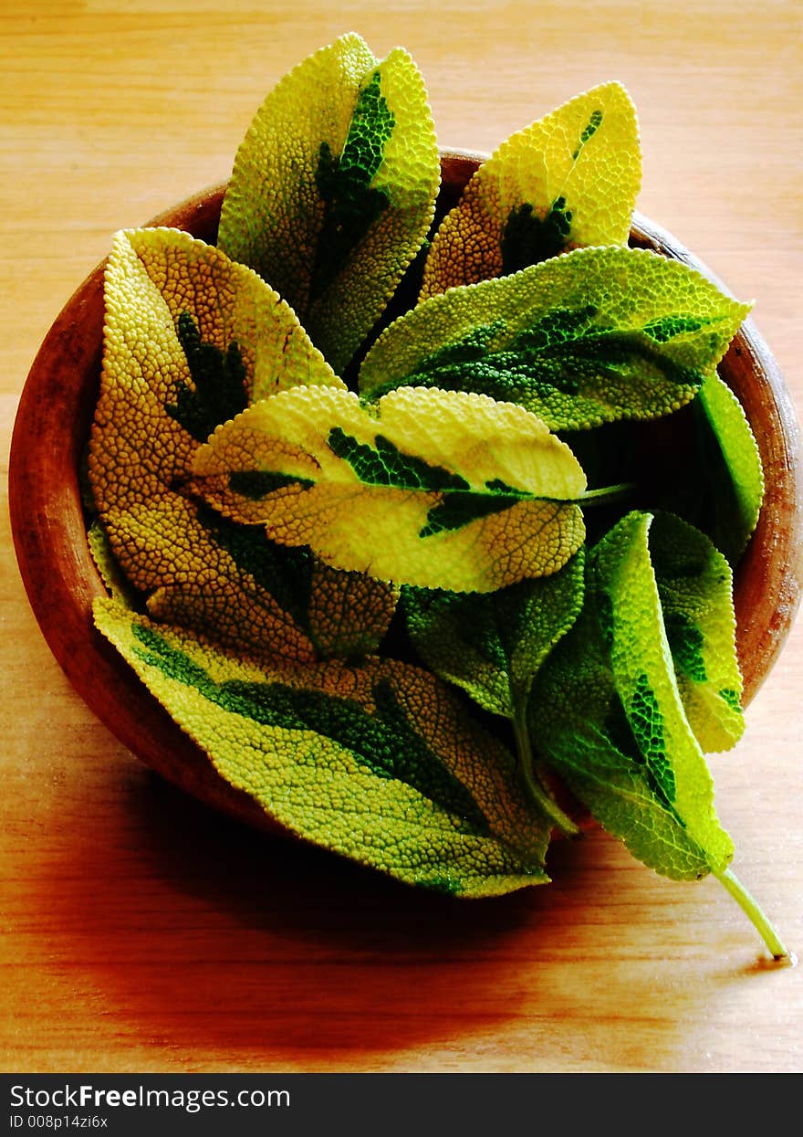 Sage leaves in a wooden bowl. Sage leaves in a wooden bowl