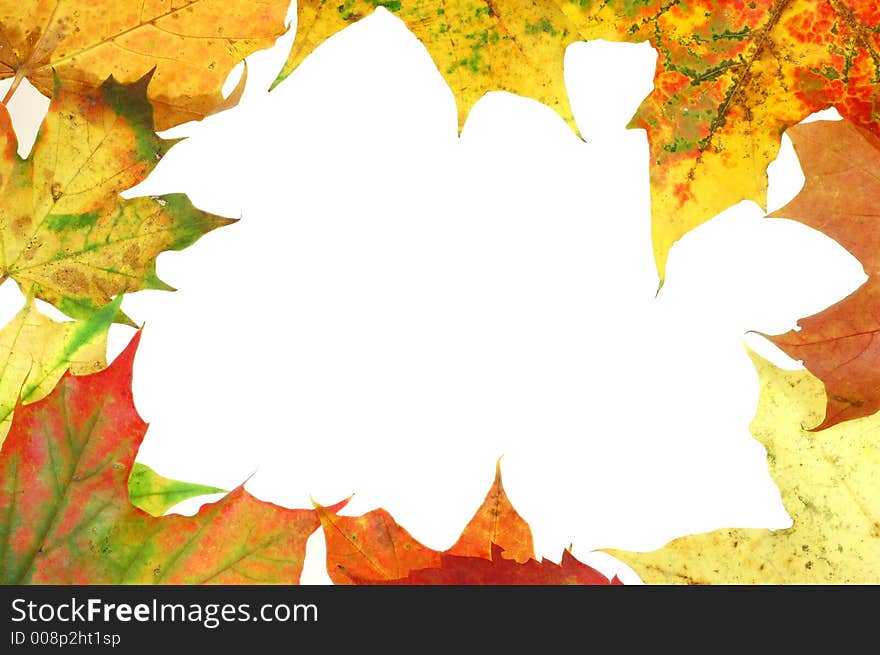 Colourful autumn frame with space for text. Colourful autumn frame with space for text