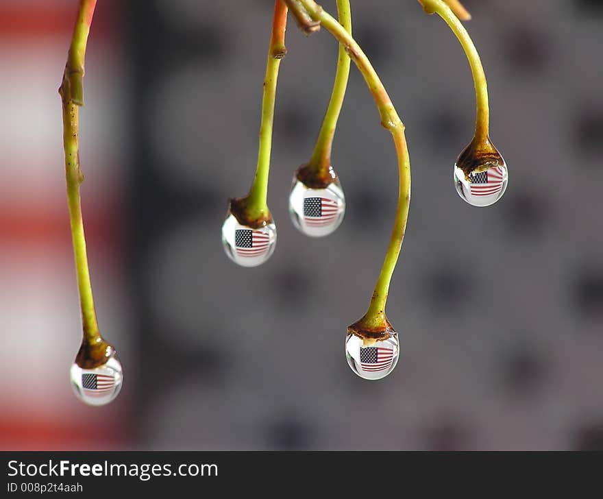 Reflection of american flag into drops. Reflection of american flag into drops