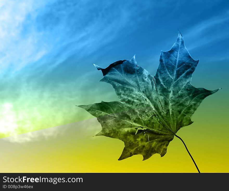 Decaying leaf against sky background with color overlay