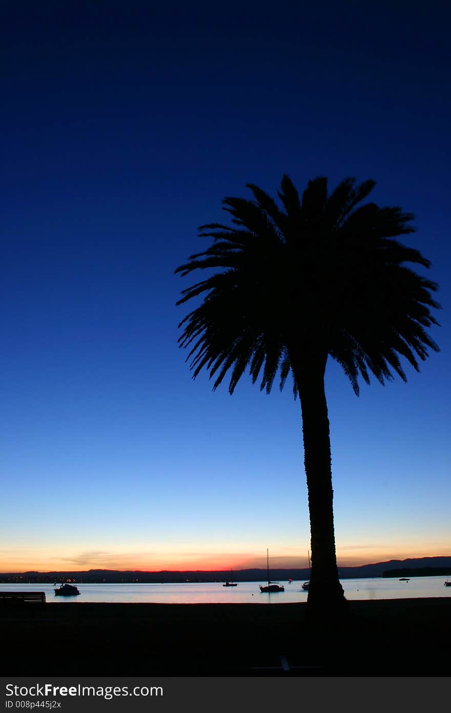 Palm sunset over Pilot bay