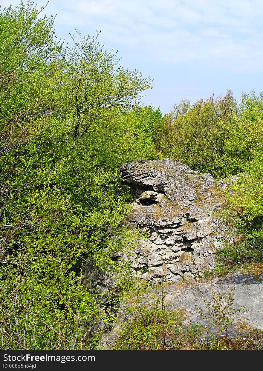 Lonely rock surrounded by crowns of high trees. Lonely rock surrounded by crowns of high trees