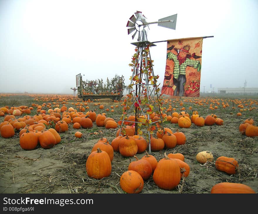 Old windmill in a field of pumpkins. Old windmill in a field of pumpkins.