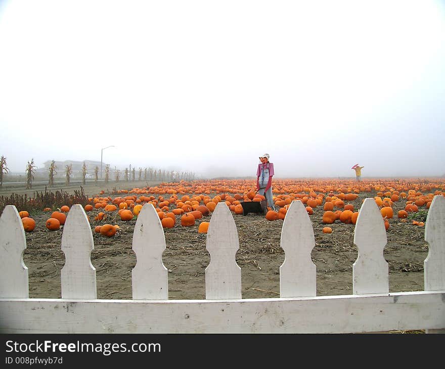 Pumpkin Patch Scarecrows With Wheelbarrow