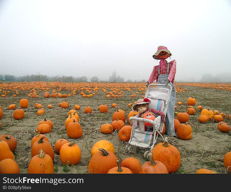 A Scarecrow mommy takes her baby for a stroller ride through a pumpkin patch. A Scarecrow mommy takes her baby for a stroller ride through a pumpkin patch