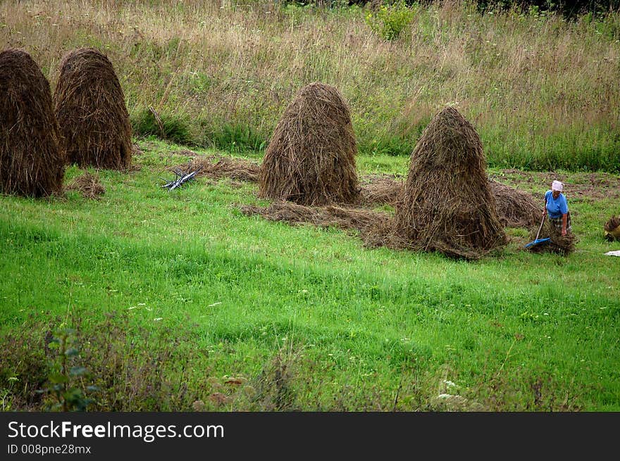 Old woman at hard work in field