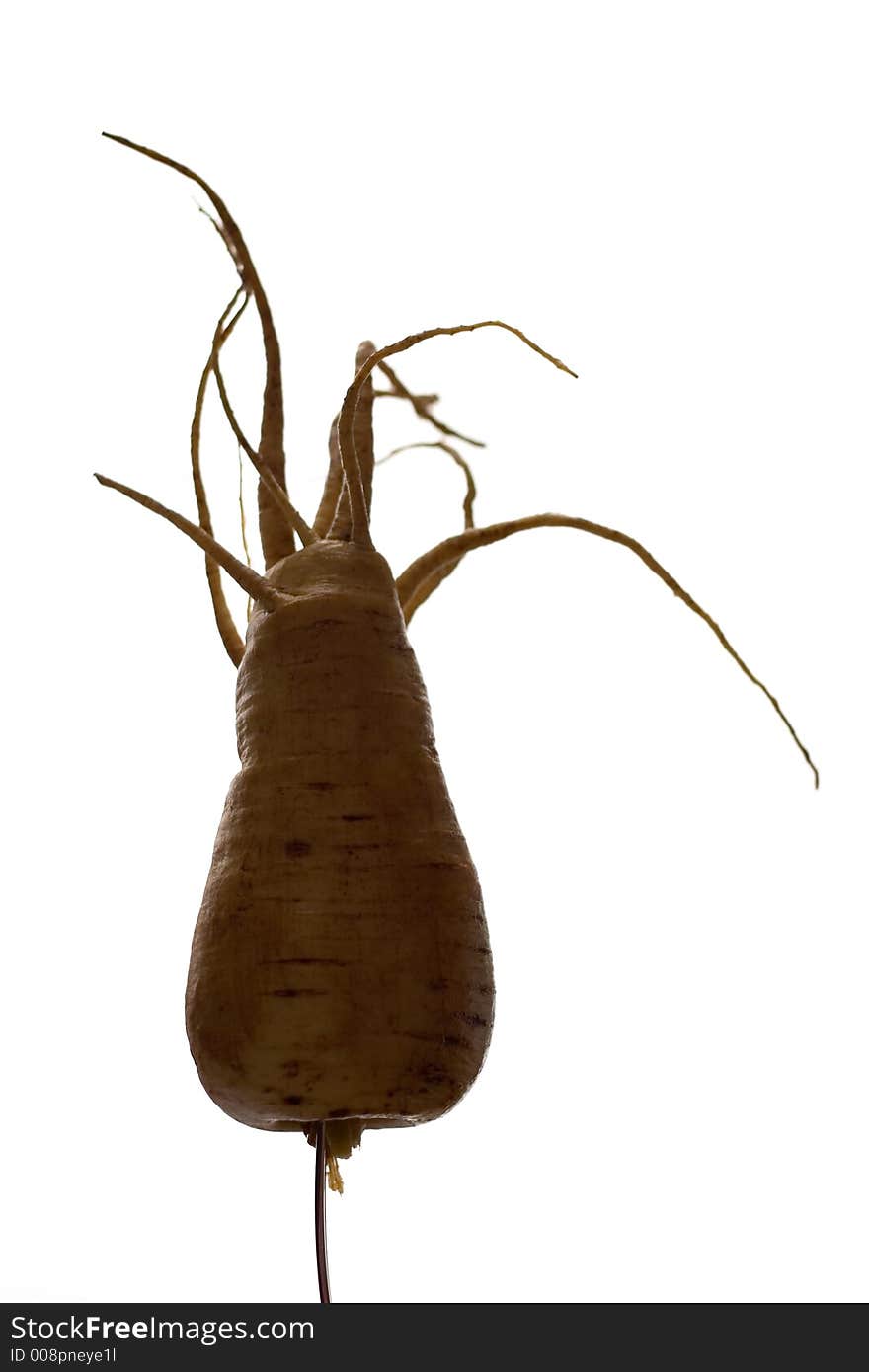 Freaky Parsnip Roots