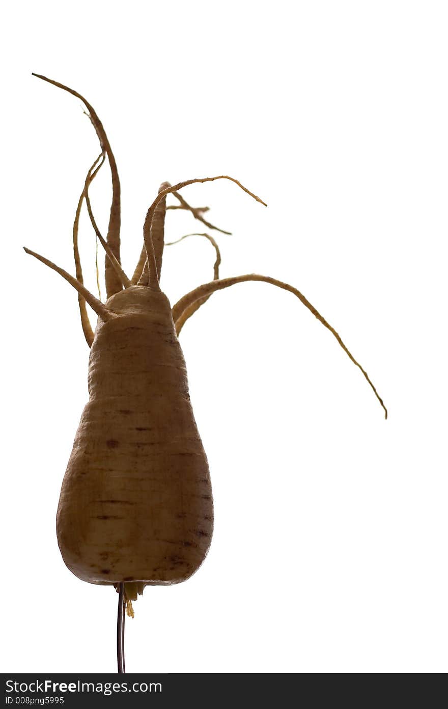 Freaky Parsnip Roots