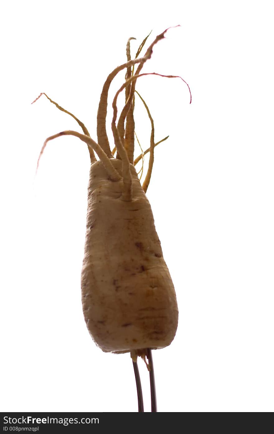 Freaky Parsnip Roots