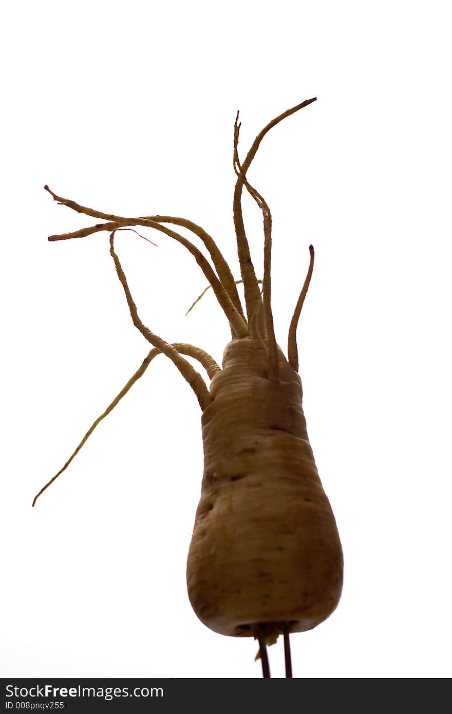 Freaky Parsnip Roots