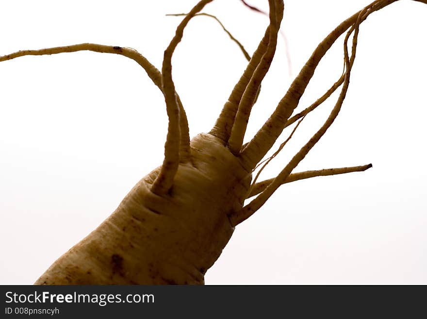 Freaky Parsnip Roots