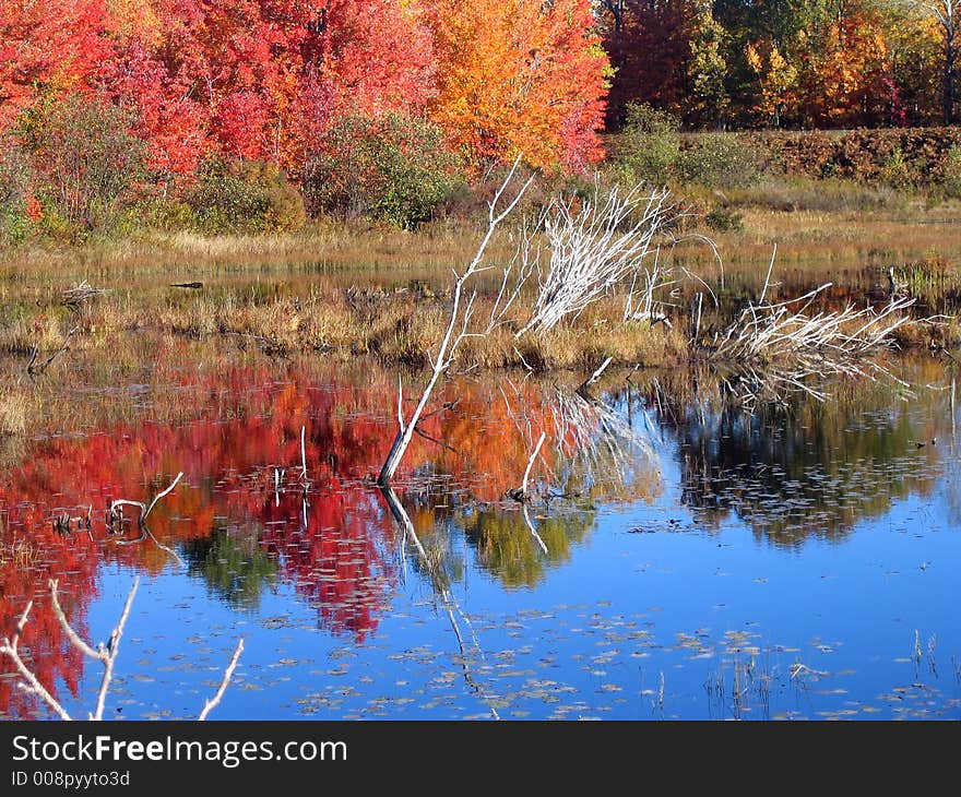 Autumn lake reflection