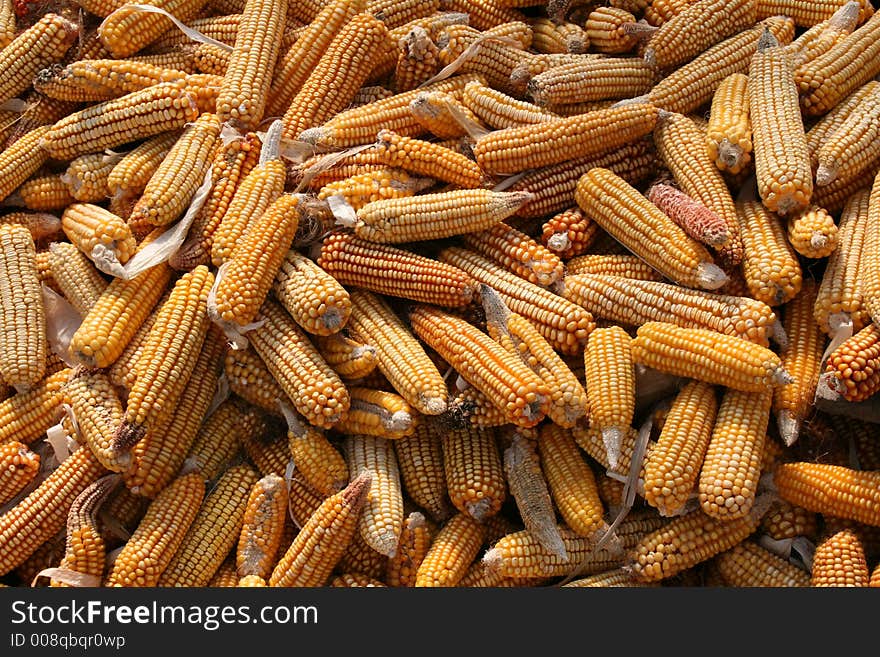 Corn cobs