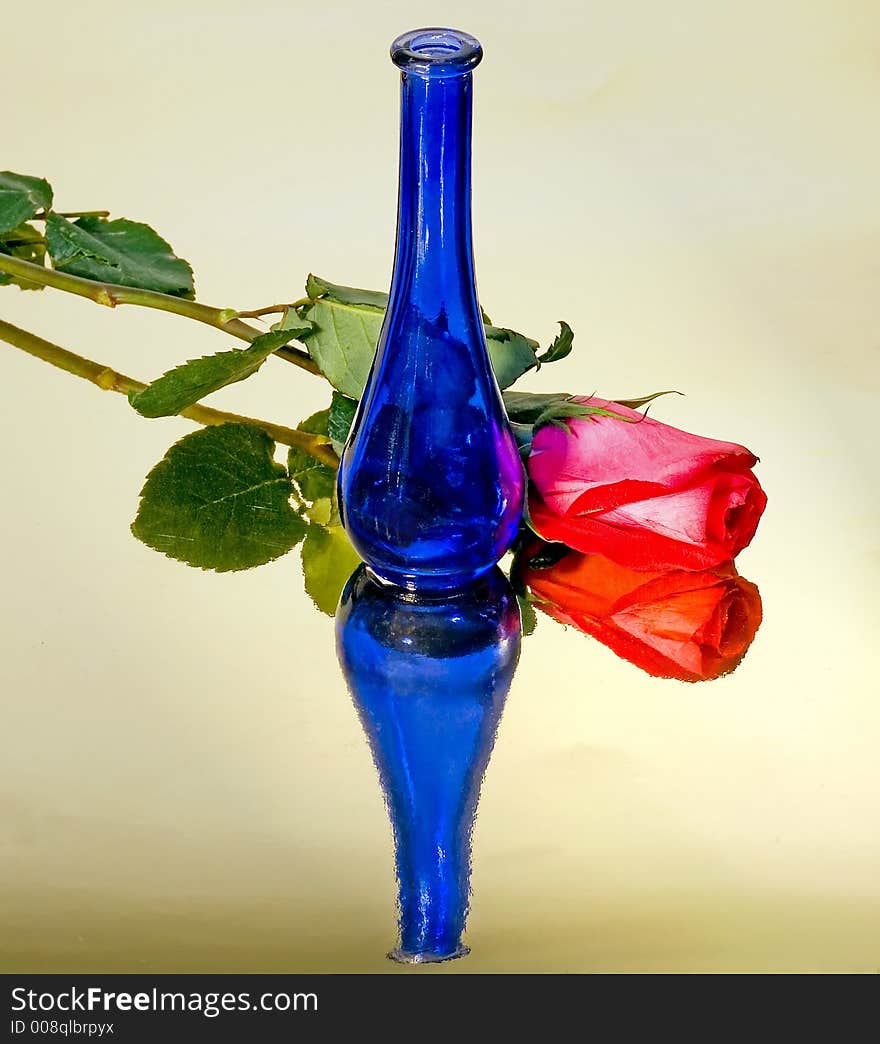 Blue vase, red rose, on gold mirrored background. Blue vase, red rose, on gold mirrored background