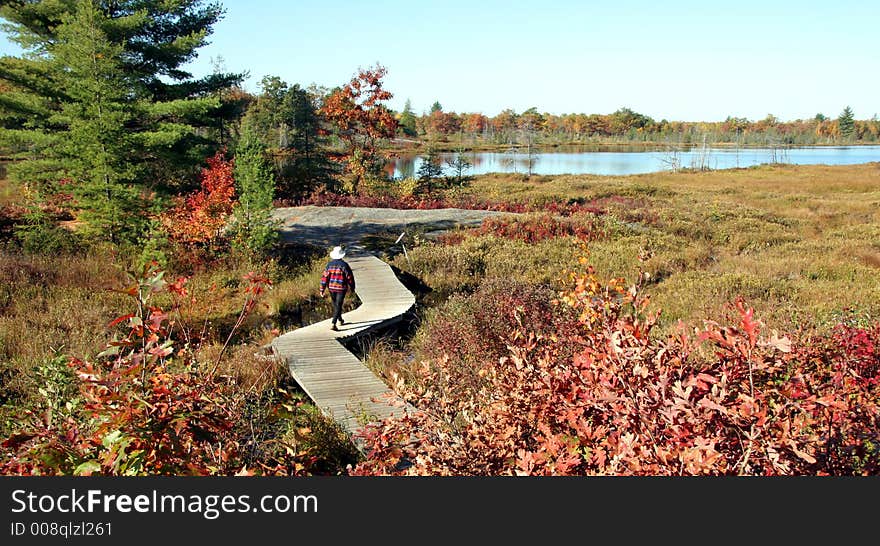 Woman walking on a boardwalk in the Autumn in Ontario