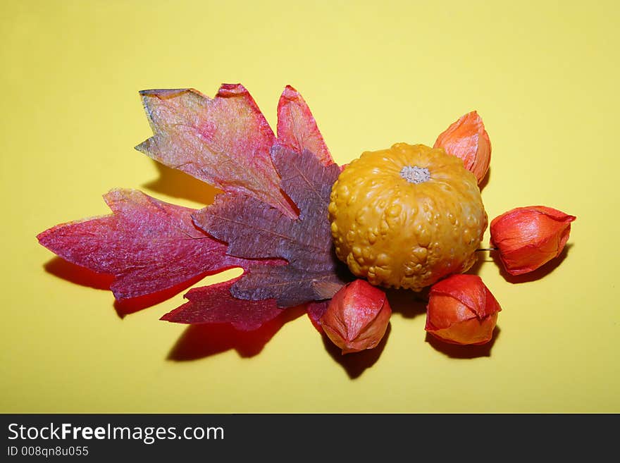 Pumpkin on maple leaves with some physalis fruits on a yellow background. Pumpkin on maple leaves with some physalis fruits on a yellow background.