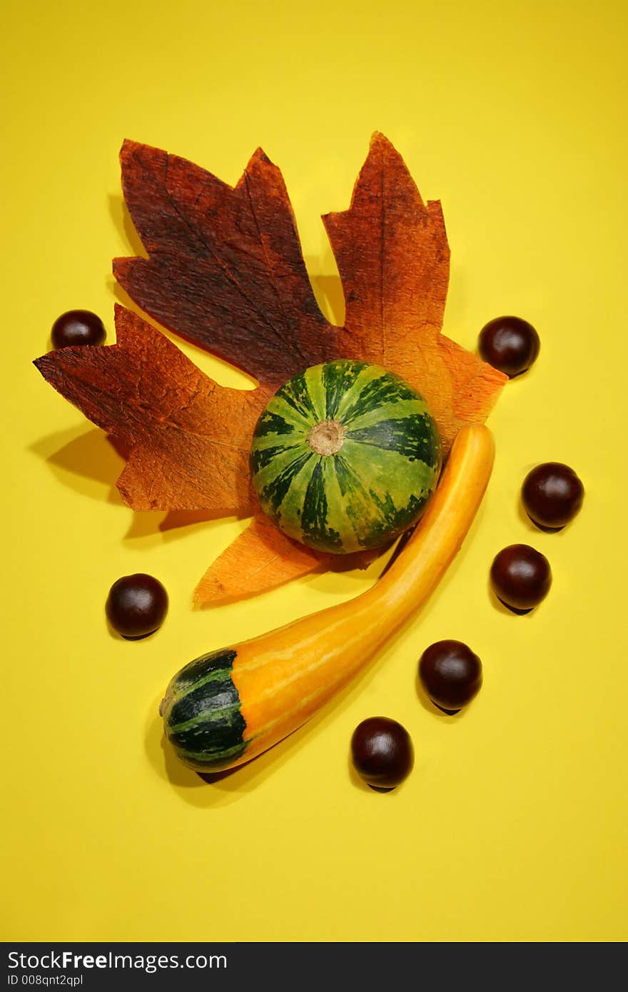 Gourds with leaves and chestnuts arranged on a yellow background.