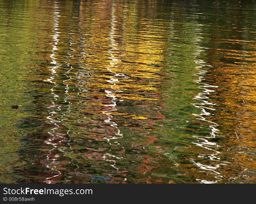 Autumn lake abstract with birch trees