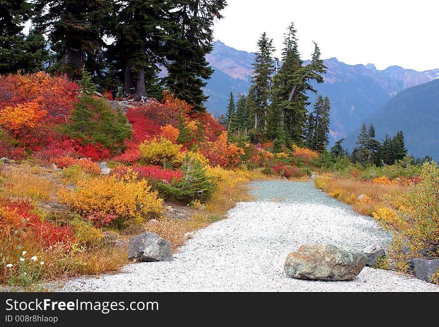 Fall Color in the mountain