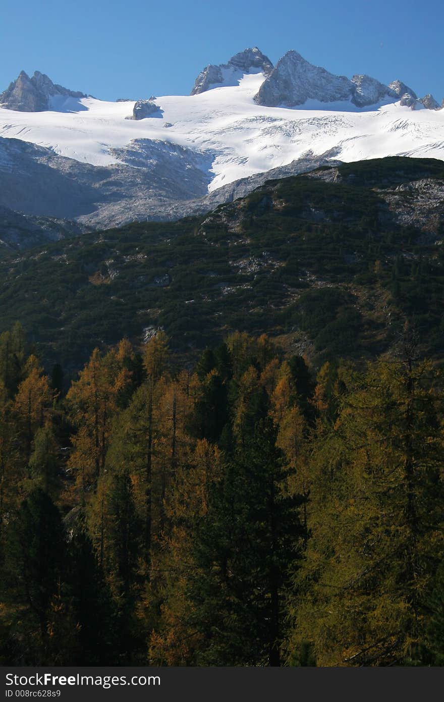 Mountain with glacier with forest in the foreground. Mountain with glacier with forest in the foreground