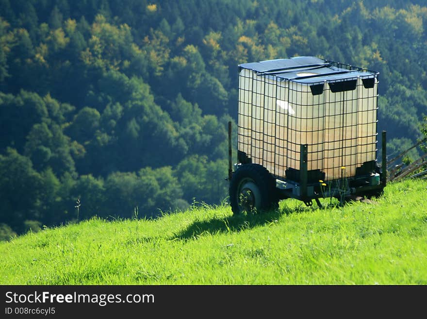 A drinking throug on a green meadow. A drinking throug on a green meadow