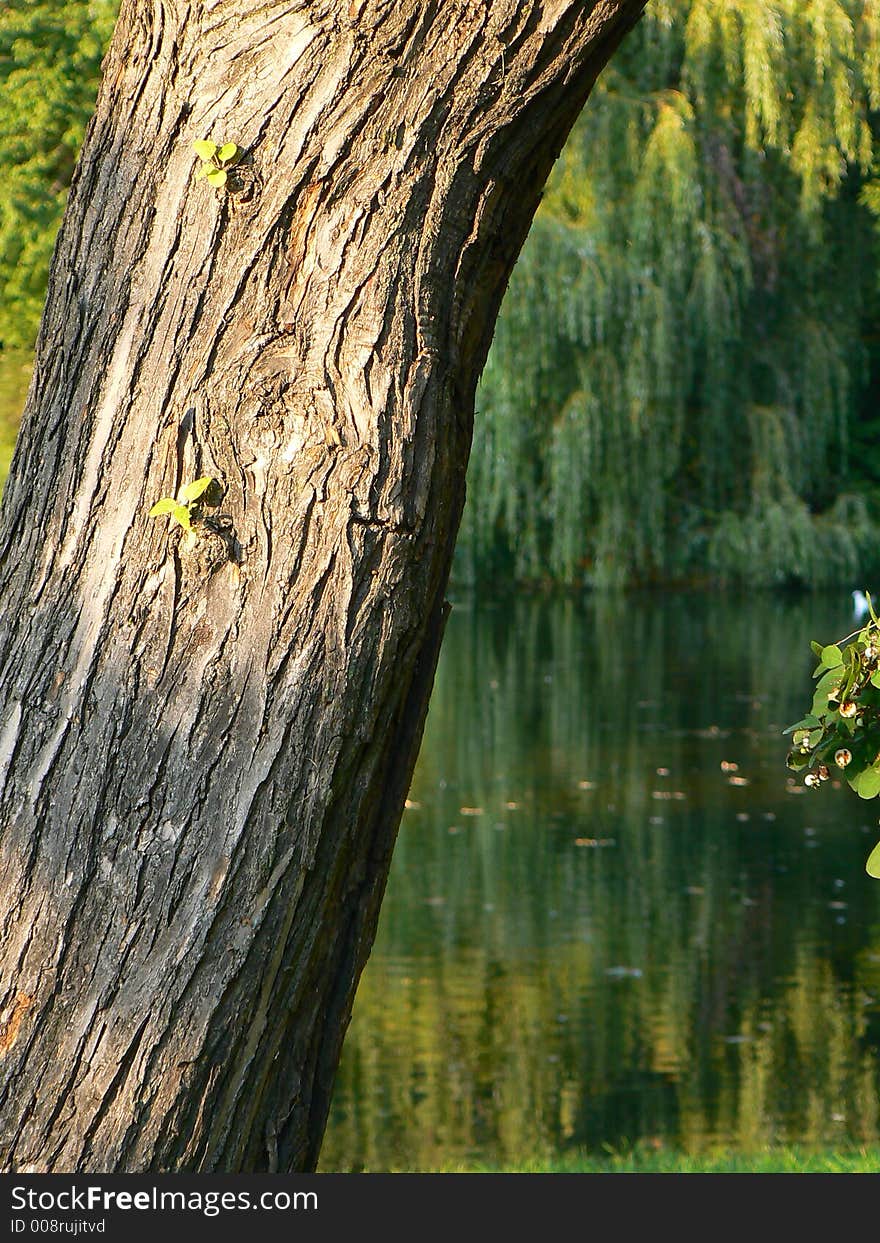 Warsaw's park at summer day. Warsaw's park at summer day.