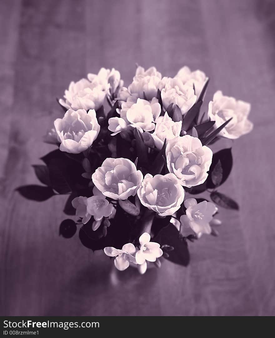 Tulips on my table late afternoon