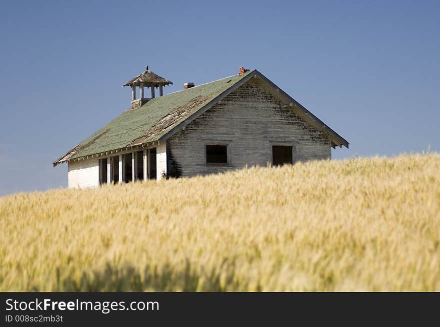 Abandoned house in wheat field