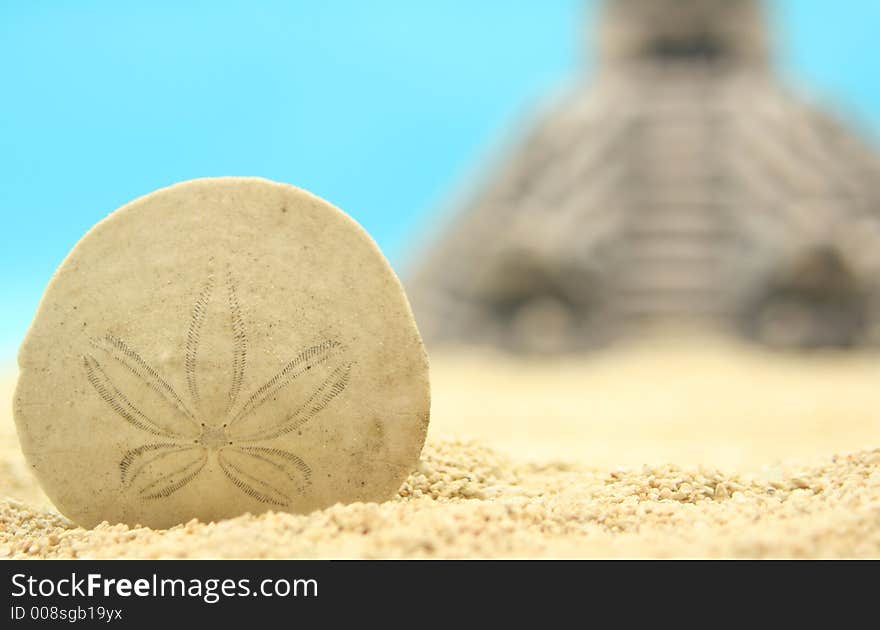 Sand Dollar and Pyramid on Sand, Close-up