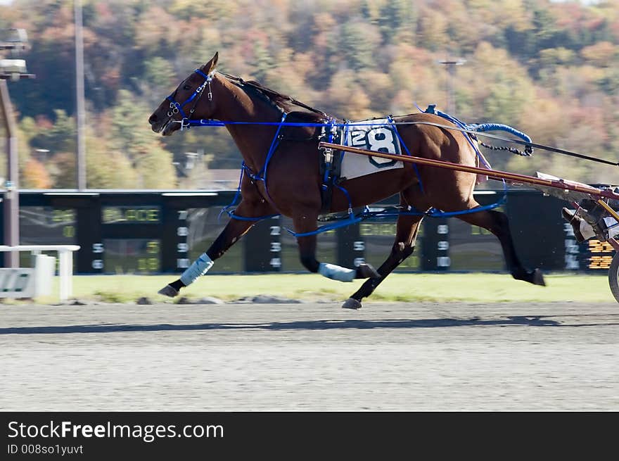 All four feet off ground blurred background great race pix. All four feet off ground blurred background great race pix