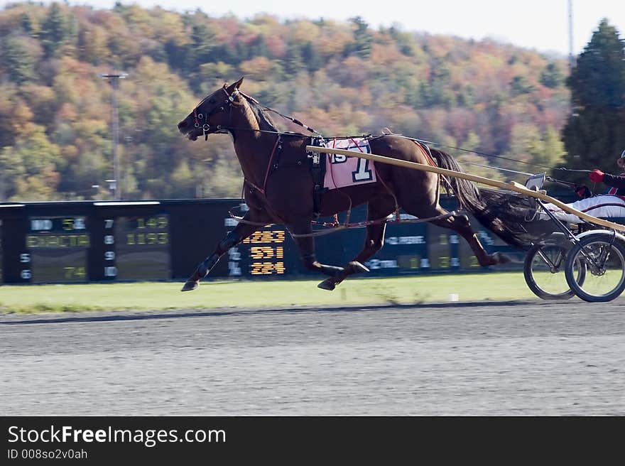 All four feet off ground blurred background great race pix. All four feet off ground blurred background great race pix