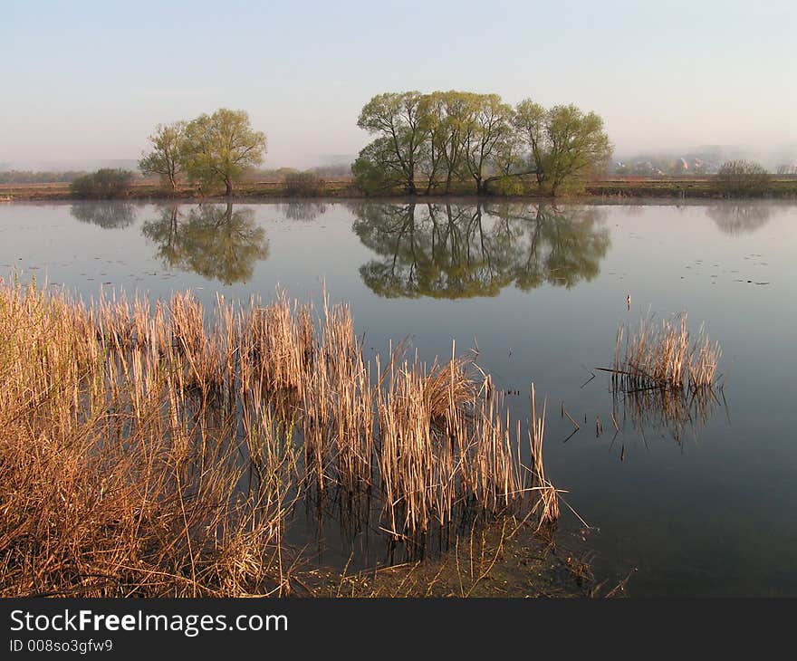 Reflection. Trees are reflected in lake as in a mirror.