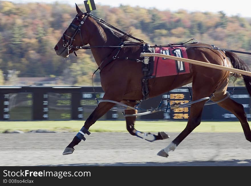 All four feet off ground blurred background great race pix. All four feet off ground blurred background great race pix