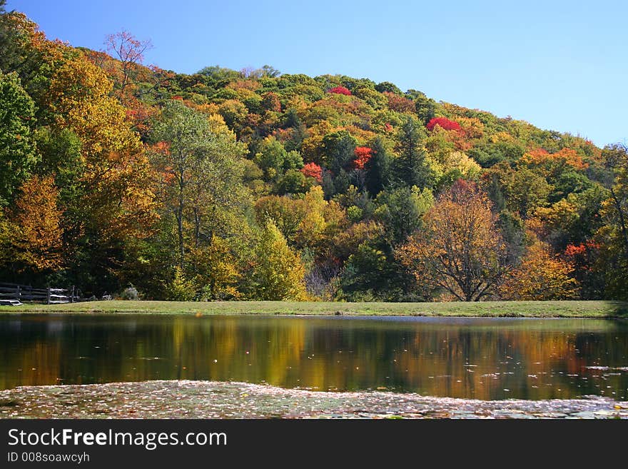 Colorful fall foilage on a hillside with blue sky , reflecting on a pond. Colorful fall foilage on a hillside with blue sky , reflecting on a pond