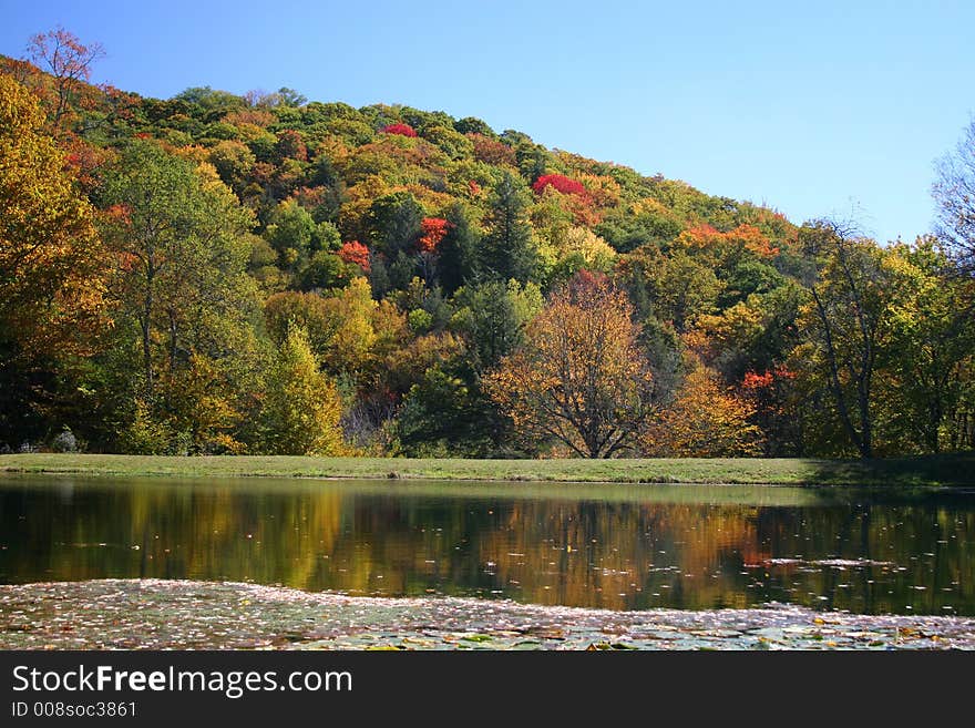 Colorful fall foilage on a hillside with blue sky , reflecting on a pond. Colorful fall foilage on a hillside with blue sky , reflecting on a pond