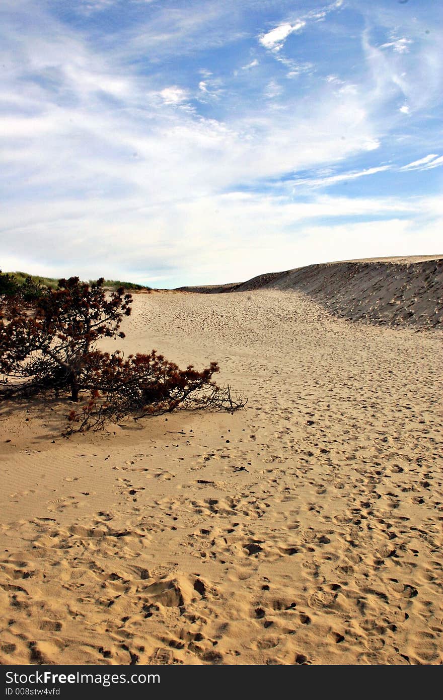 Denmark Desert