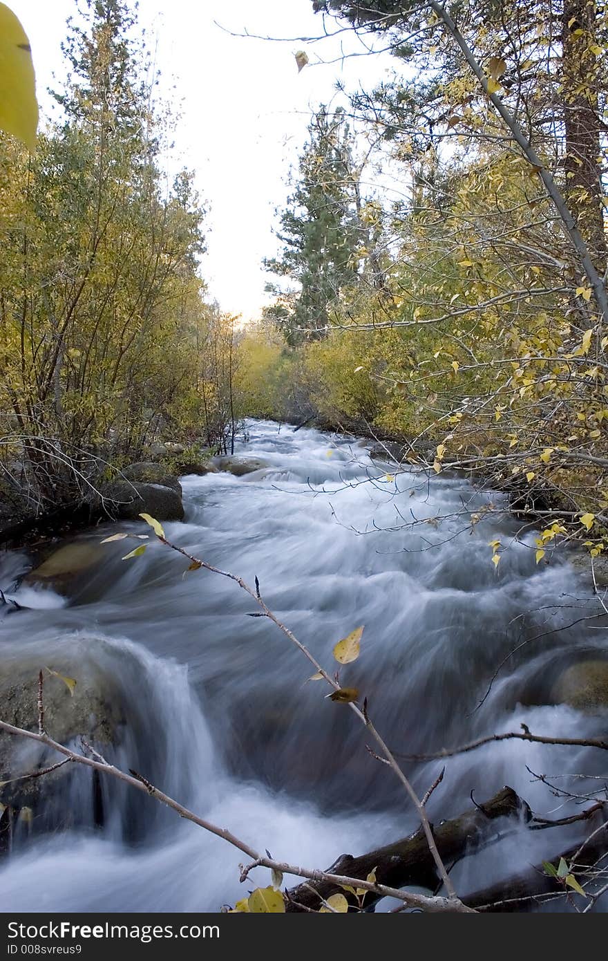 Flowin creek in the high Sierras, California. Flowin creek in the high Sierras, California