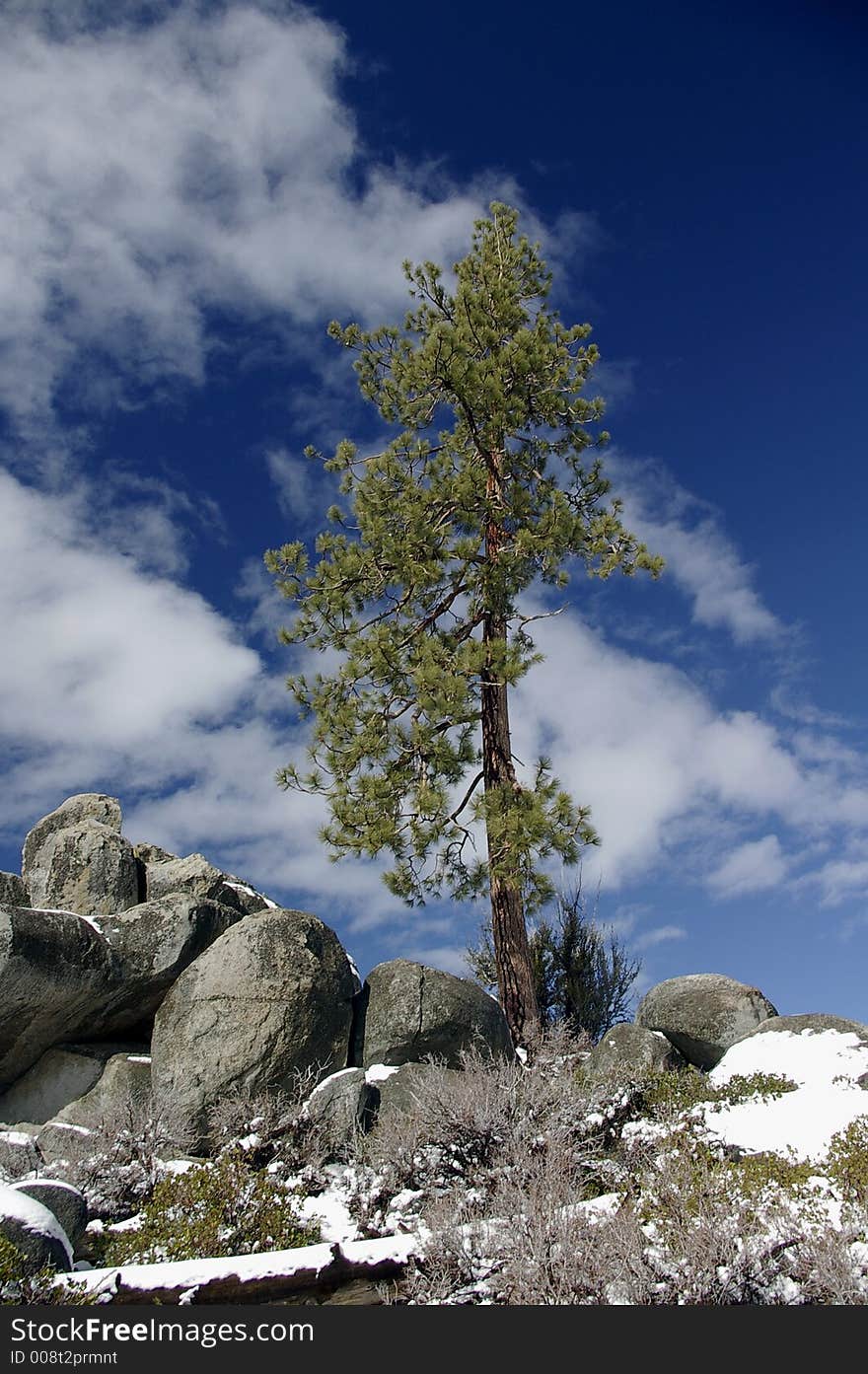 Blue Sky And Snow