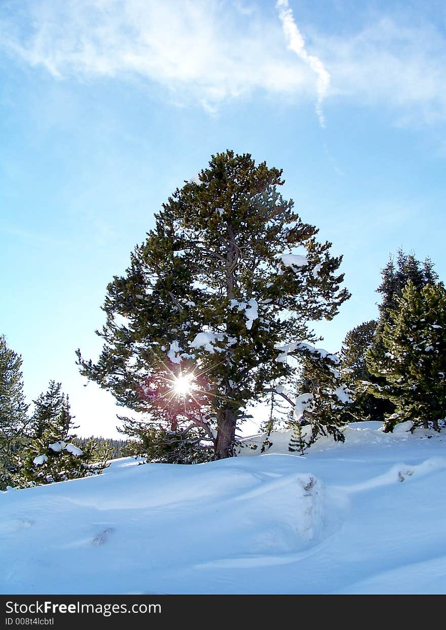 Stock Photo of Colorado Winter Landscape