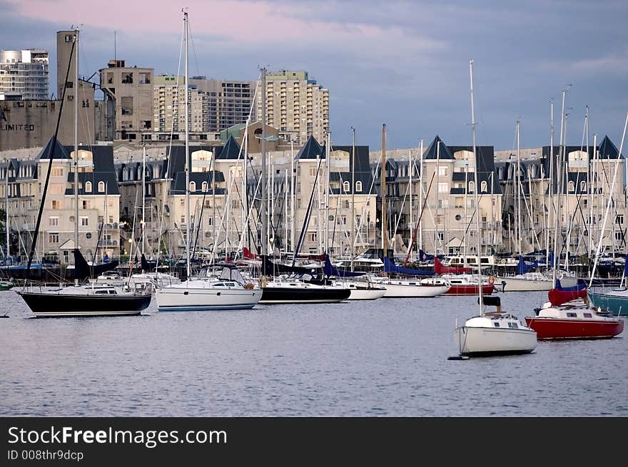 Sailboats moored in Toronto harbour.  Condominiums in the background. Sailboats moored in Toronto harbour.  Condominiums in the background.