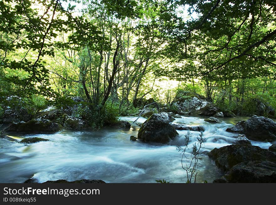 Creek movement in the forest. Creek movement in the forest