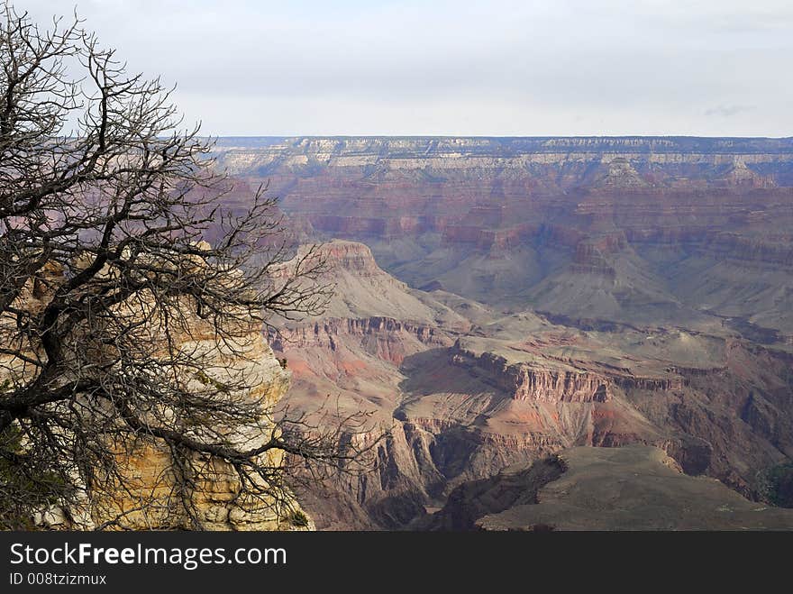 View from the canyons rim. View from the canyons rim