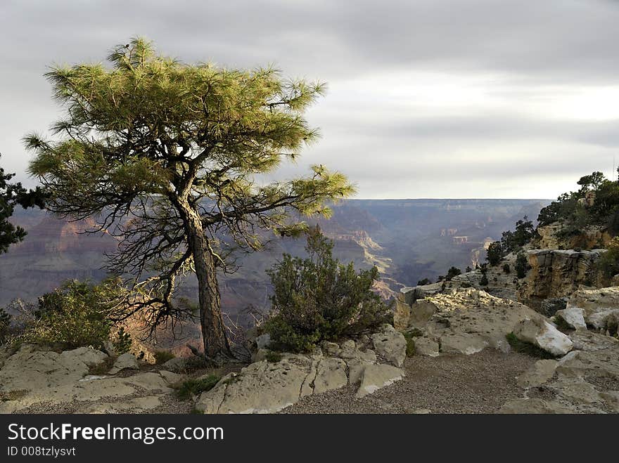 Early morning over the Grand Canyon. Early morning over the Grand Canyon