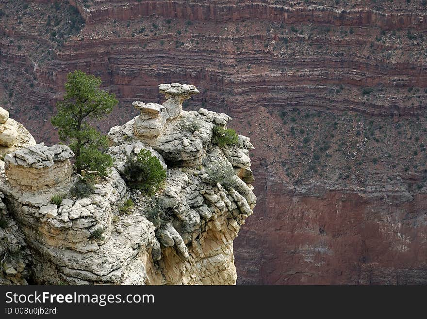 Single tree suspended on rocks. Single tree suspended on rocks