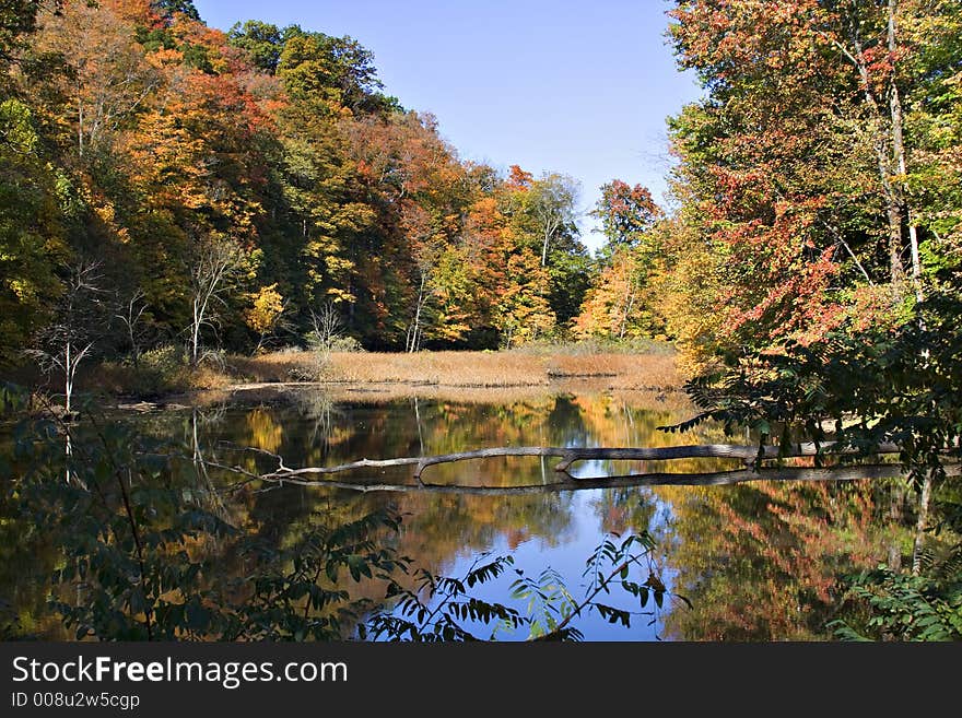 A autumn landscape of water with reflection, trees on a beautiful October day in Ohio. A autumn landscape of water with reflection, trees on a beautiful October day in Ohio.