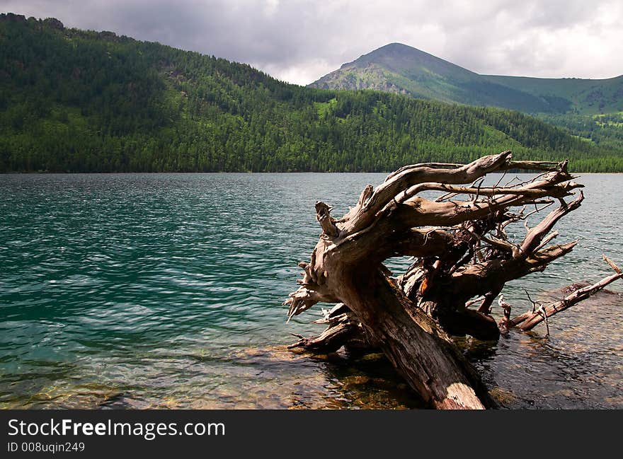 Turquoise lake, log and mountains.