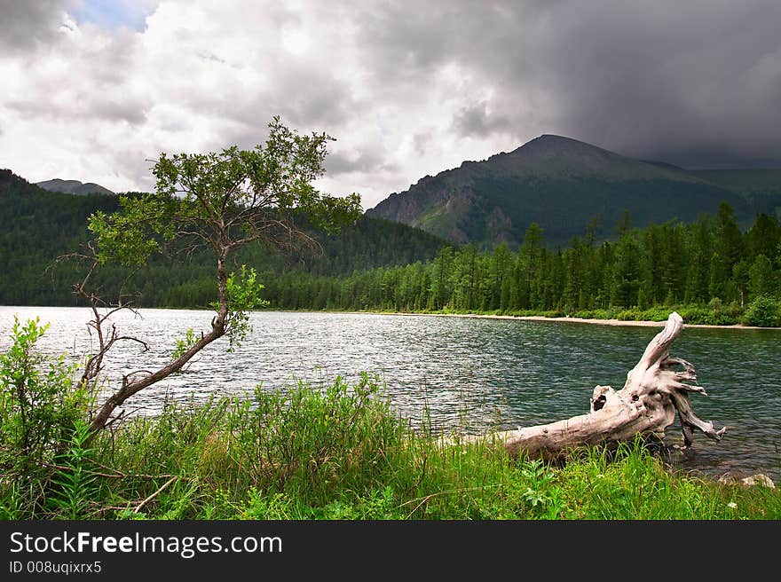 Green lake, log and mountains. Altay. Russia.