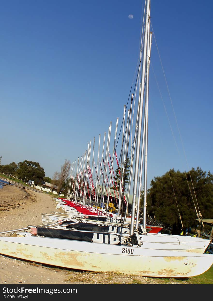 Sail boats in a row at beach