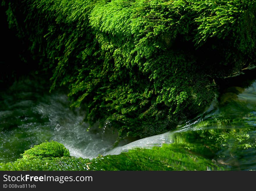 Moss And Stream