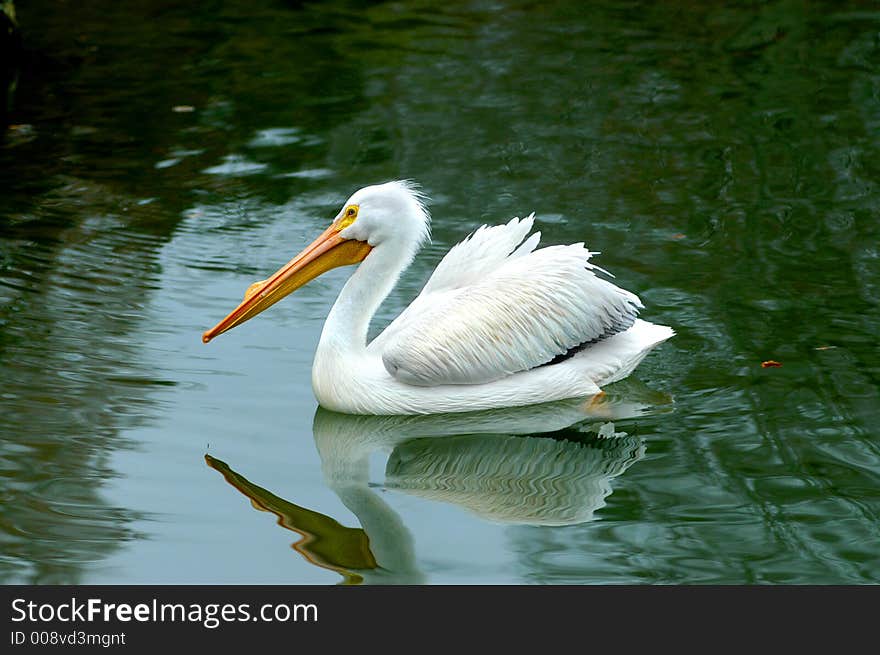 Stork Lake